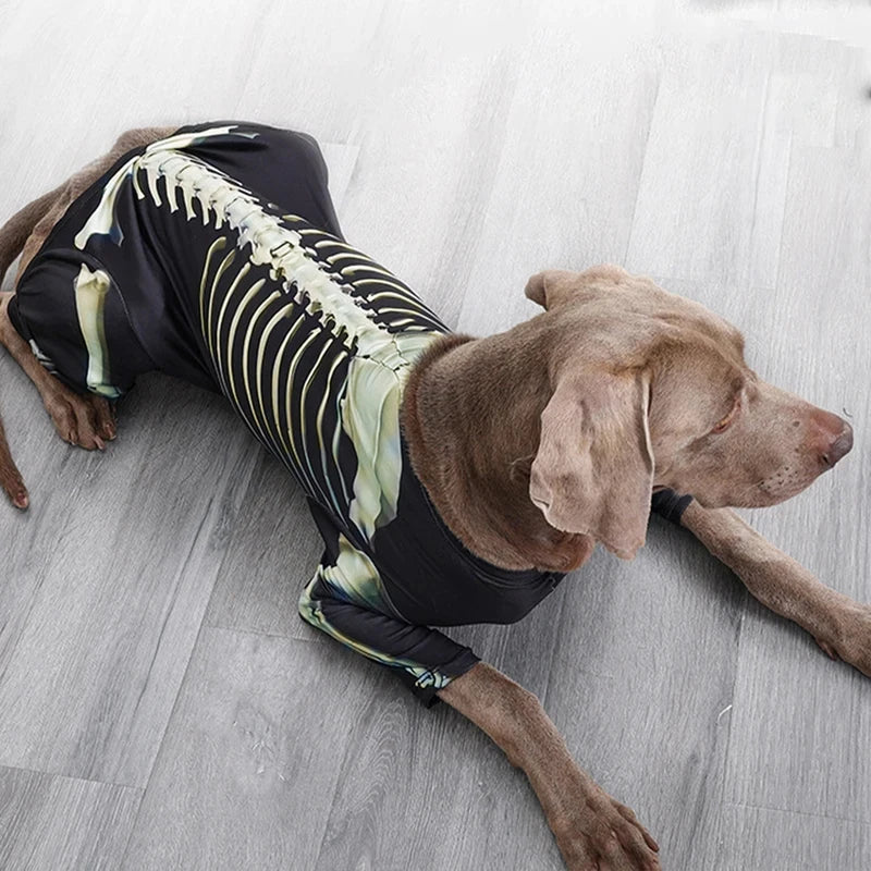 Skeleton Transformation Halloween Dog Costume
