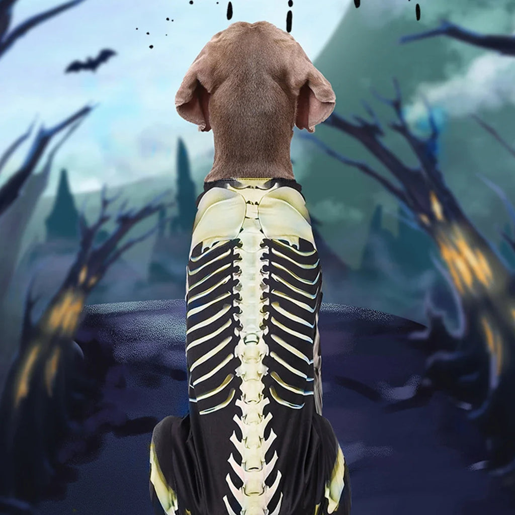 Skeleton Transformation Halloween Dog Costume