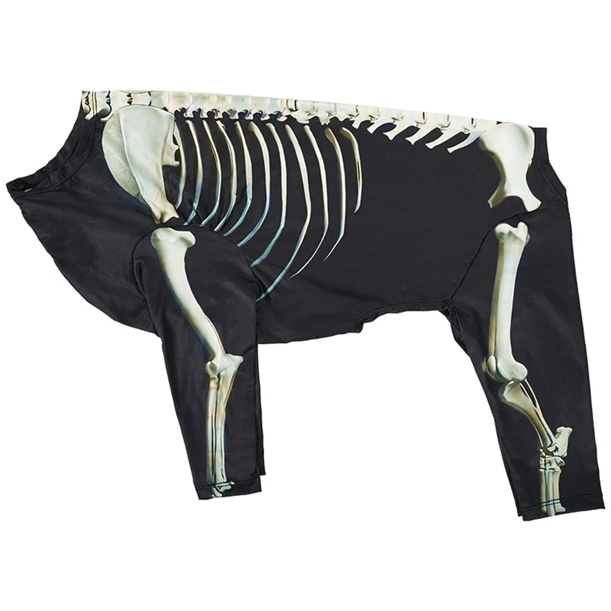 Skeleton Transformation Halloween Dog Costume