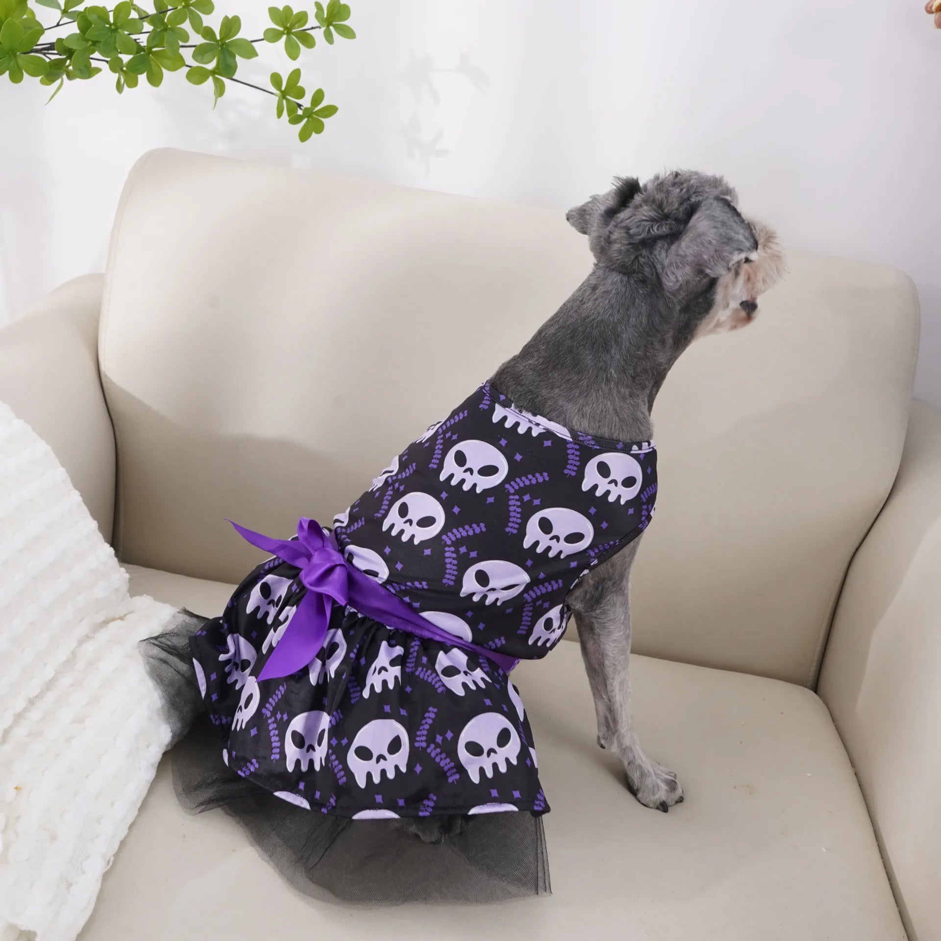 Witch Cape & Hat Halloween Pet Costume Set