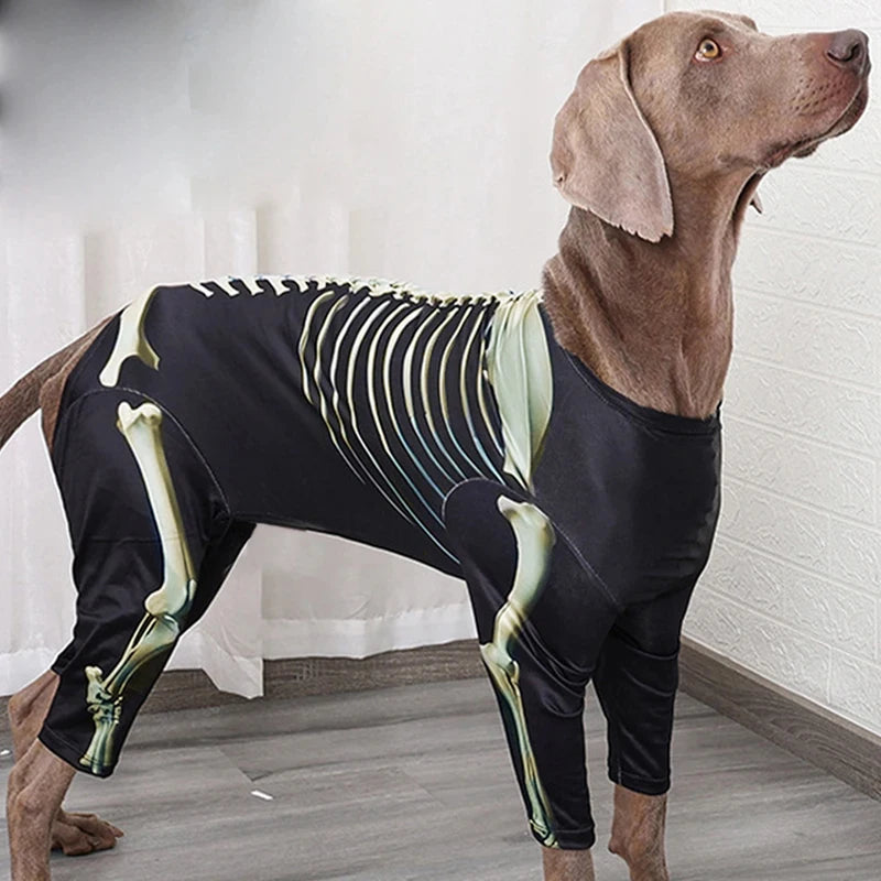 Skeleton Transformation Halloween Dog Costume