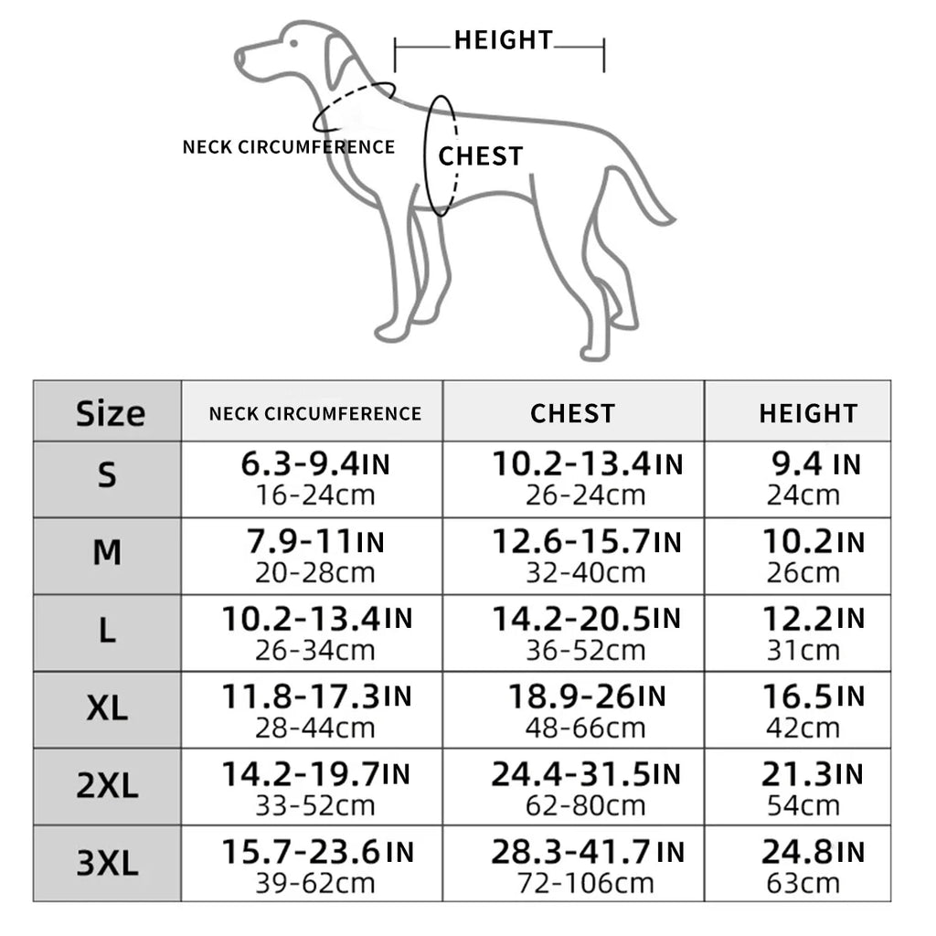 Skeleton Transformation Halloween Dog Costume