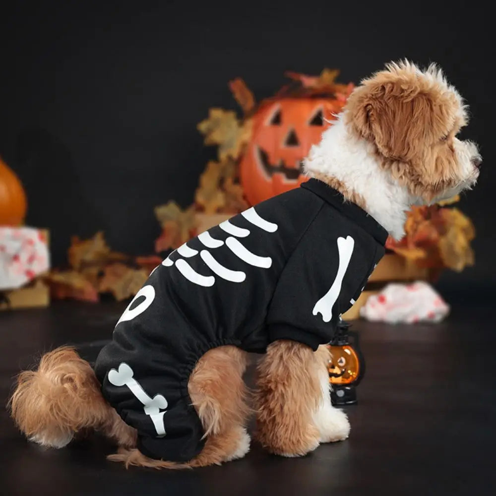 Glow-in-the-Dark Skeleton Halloween Pet Hoodie