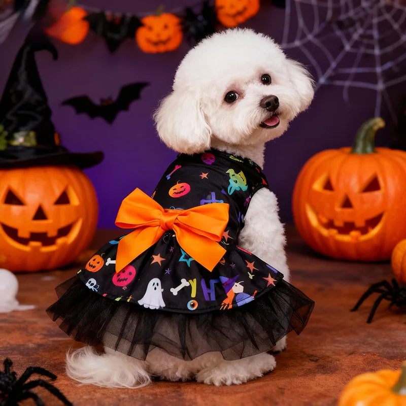 Witch Cape & Hat Halloween Pet Costume Set