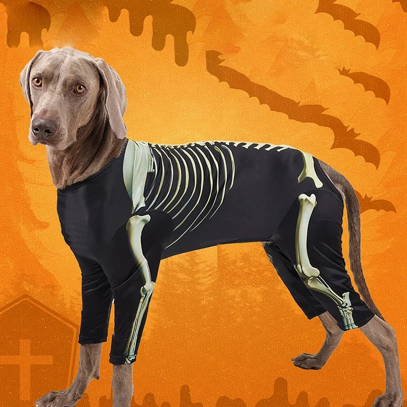 Skeleton Transformation Halloween Dog Costume