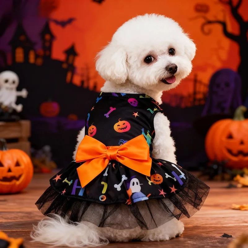 Witch Cape & Hat Halloween Pet Costume Set