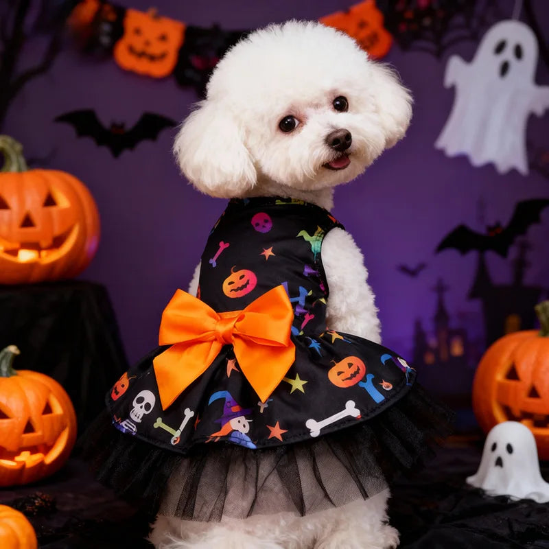 Witch Cape & Hat Halloween Pet Costume Set