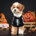 Glow-in-the-Dark Skeleton Halloween Pet Hoodie