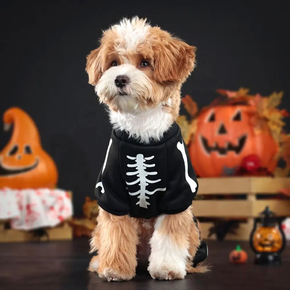 Glow-in-the-Dark Skeleton Halloween Pet Hoodie