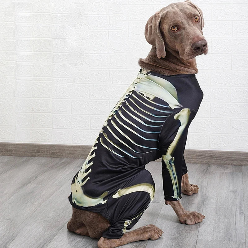 Skeleton Transformation Halloween Dog Costume