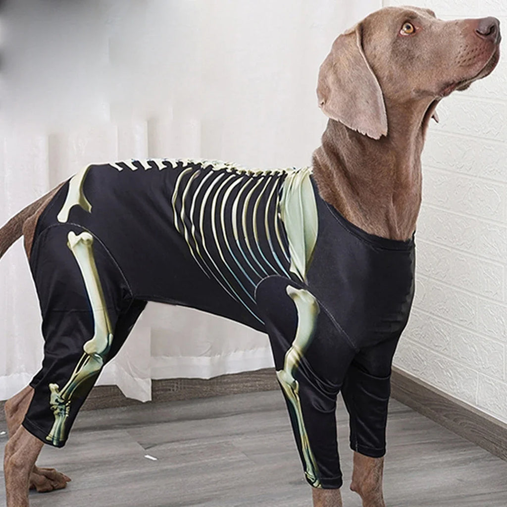 Skeleton Transformation Halloween Dog Costume