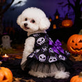 Witch Cape & Hat Halloween Pet Costume Set