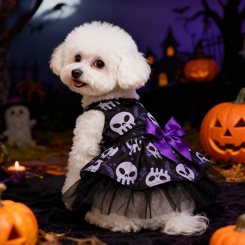 Witch Cape & Hat Halloween Pet Costume Set