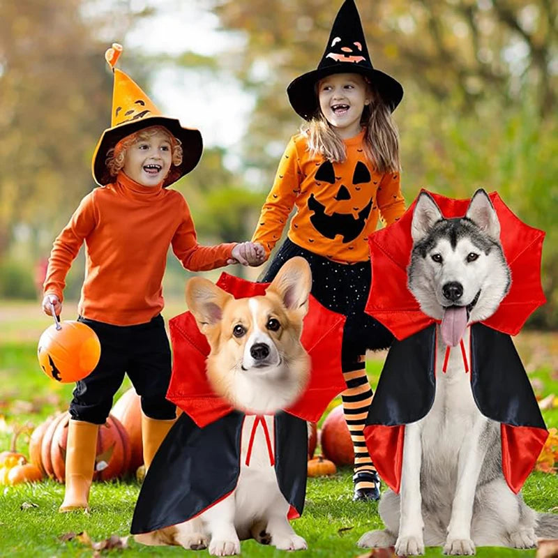 Vampire Cape Halloween Pet Costume