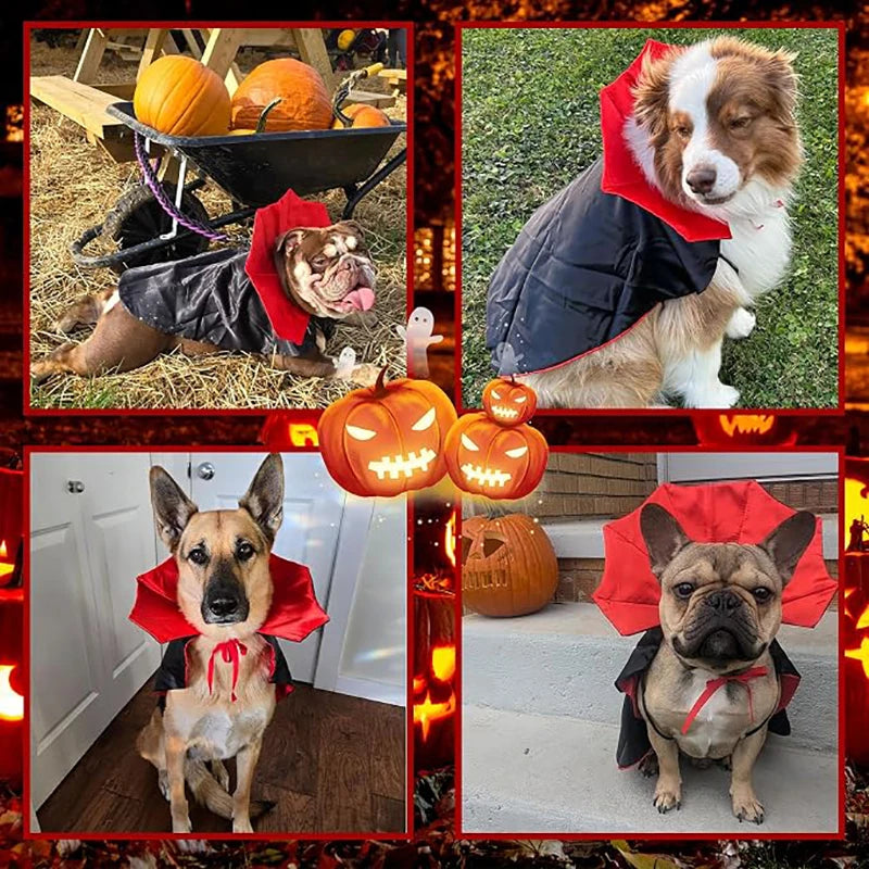 Vampire Cape Halloween Pet Costume