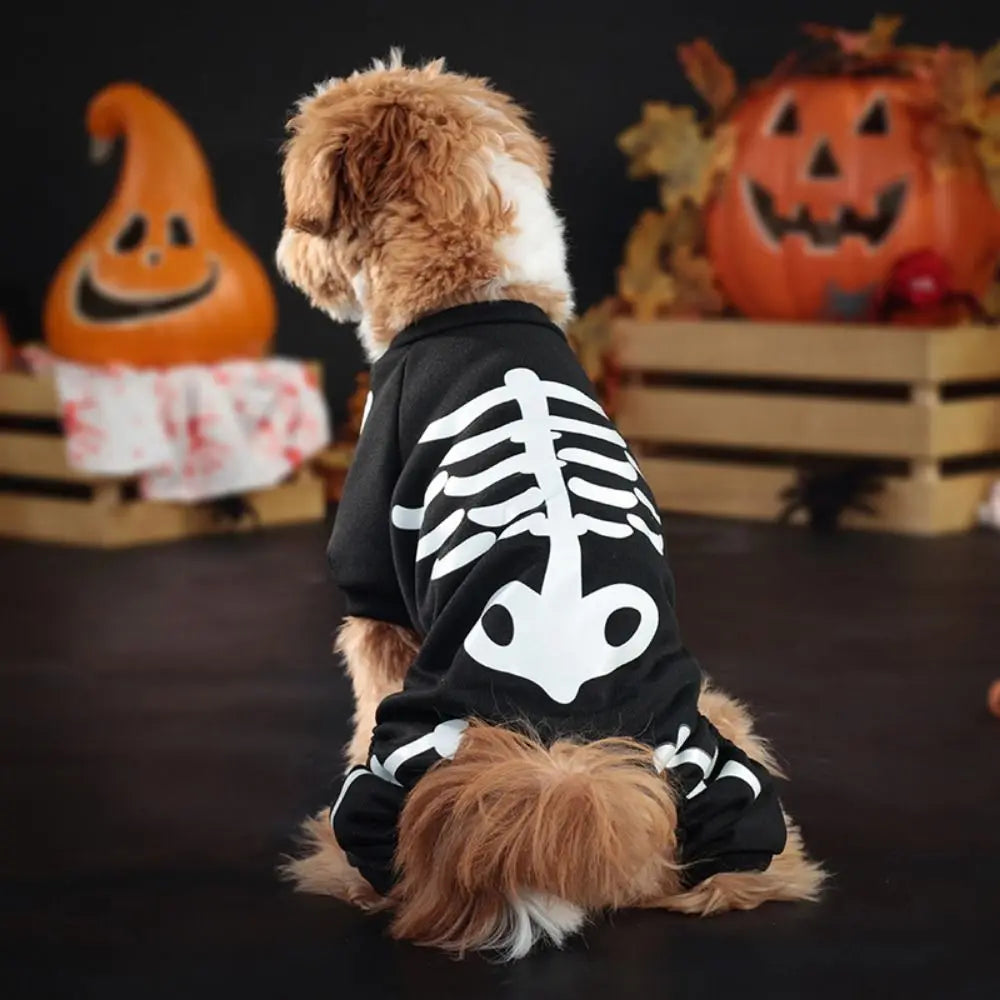 Glow-in-the-Dark Skeleton Halloween Pet Hoodie
