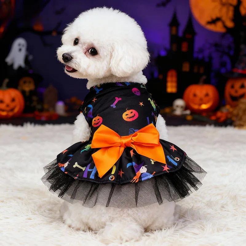Witch Cape & Hat Halloween Pet Costume Set