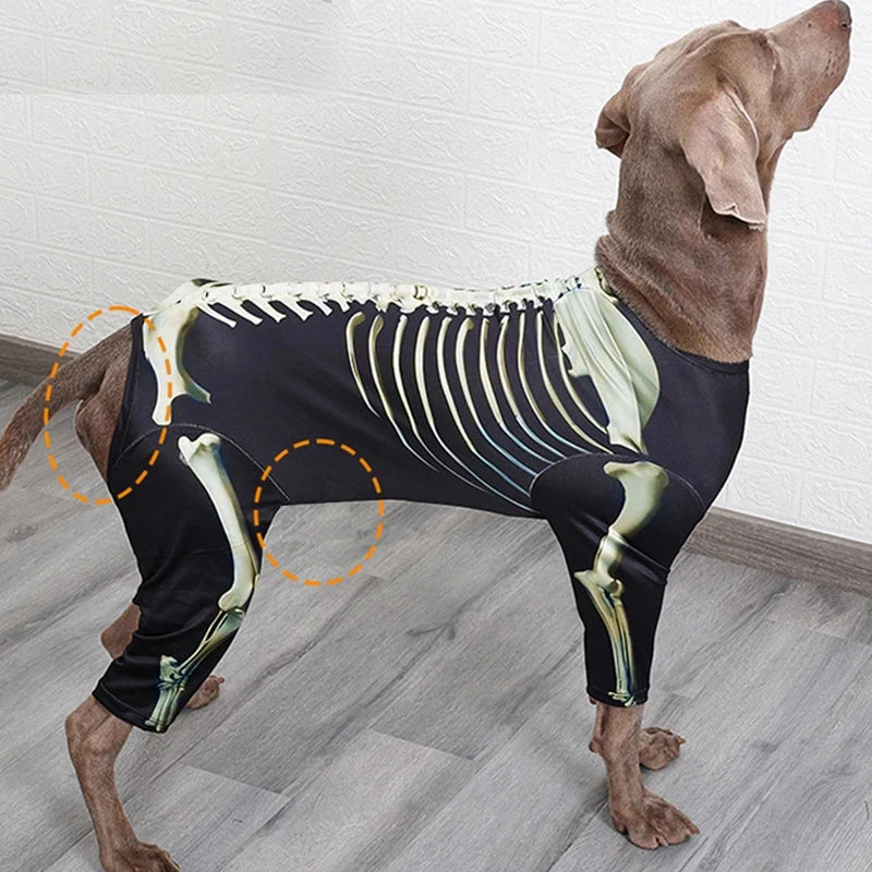Skeleton Transformation Halloween Dog Costume