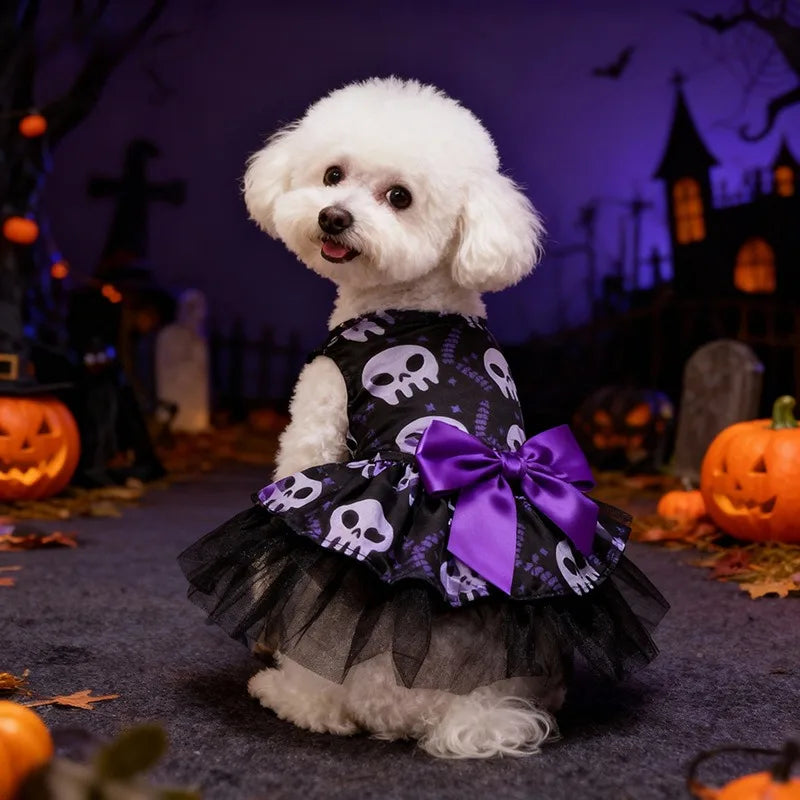 Witch Cape & Hat Halloween Pet Costume Set